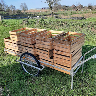 More ideas for DIY handcarts:  #toolsforgrowingformarket